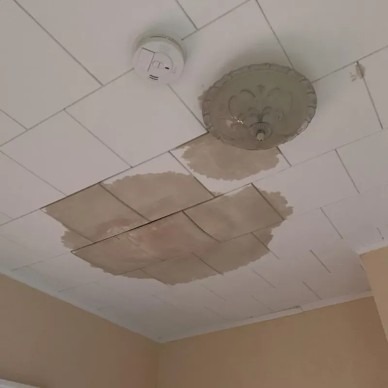 Ceiling Water Damage Repair in Larksville, PA