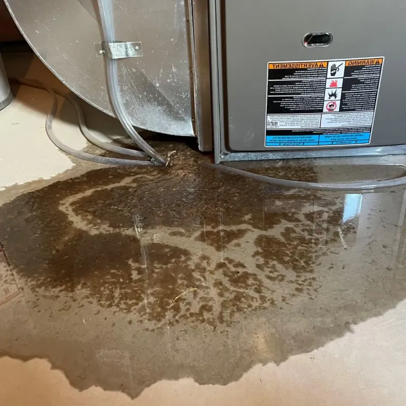 Pipe Burst and Leak Restoration in Larksville, PA