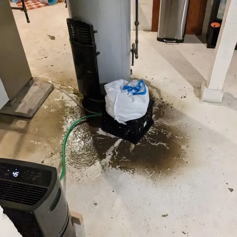 Sewage Backup Cleanup Service in Larksville, PA
